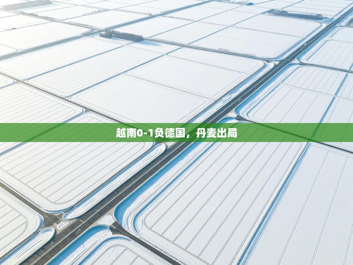 越南0-1负德国,丹麦出局 第1张