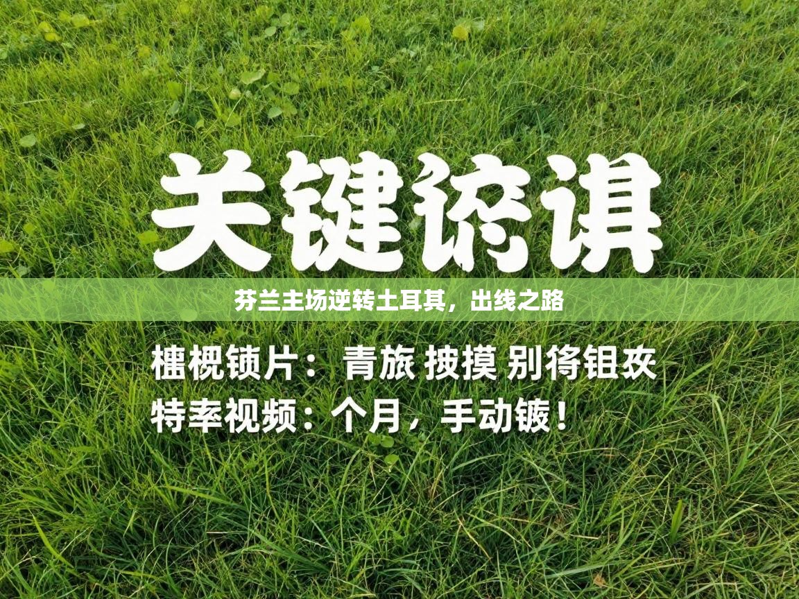 芬兰主场逆转土耳其，出线之路  第1张