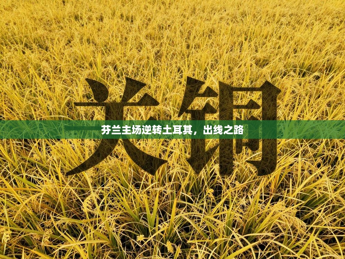 芬兰主场逆转土耳其，出线之路  第2张