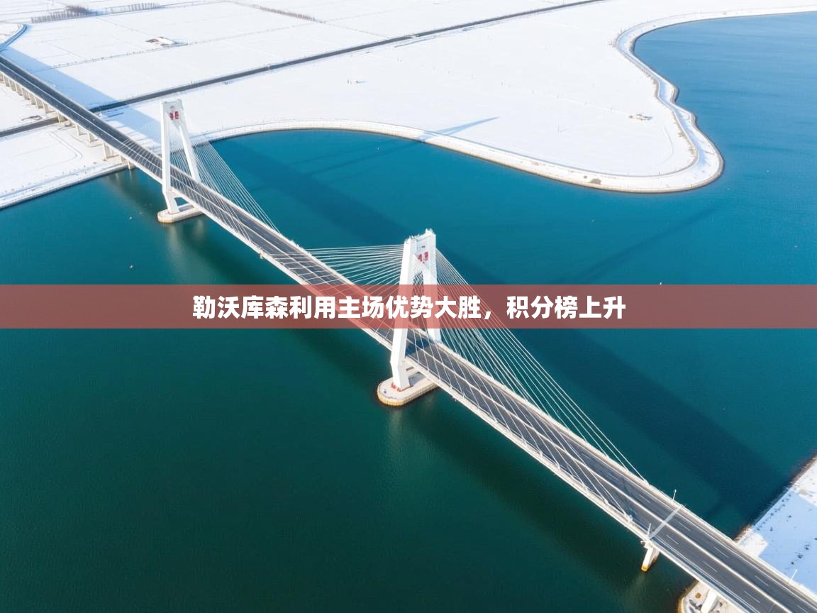 勒沃库森利用主场优势大胜，积分榜上升  第2张