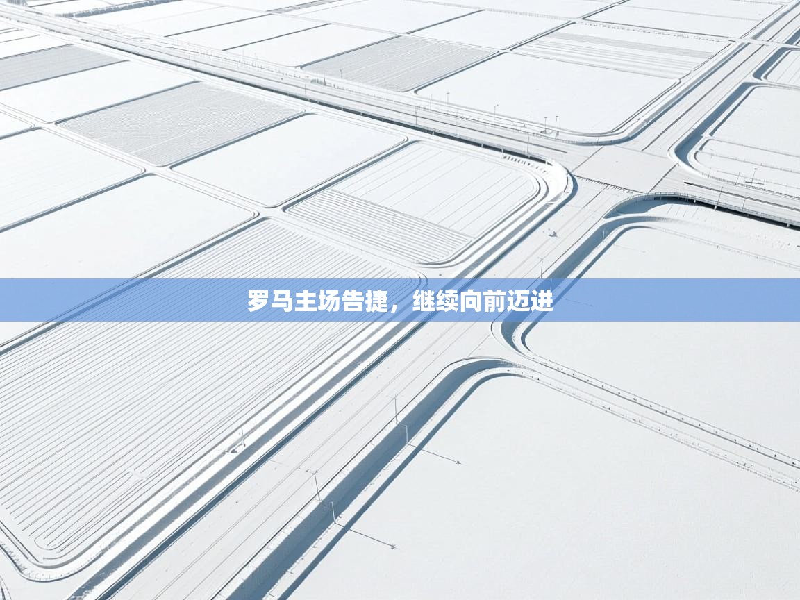 罗马主场告捷,继续向前迈进 第1张