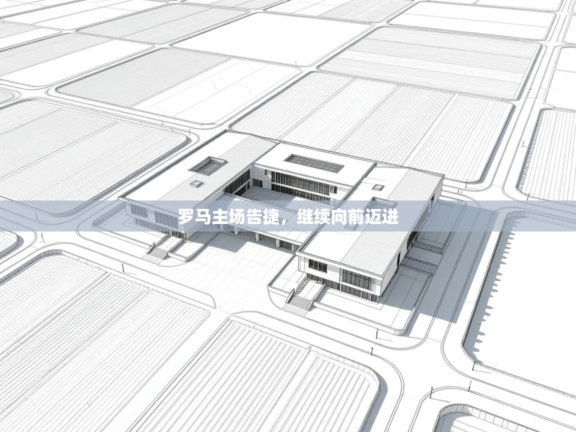 罗马主场告捷,继续向前迈进 第2张