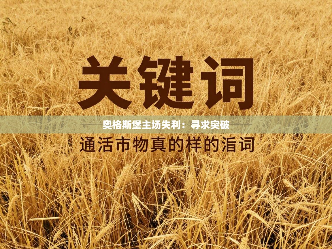 奥格斯堡主场失利:寻求突破 第2张